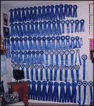 Trophy Room